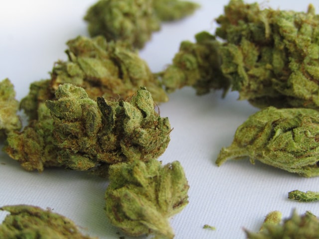 sativa